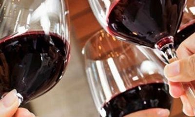 GRAPERTE. Transformación innovadora del camino del vino hacia un sector más digitalizado y sostenible