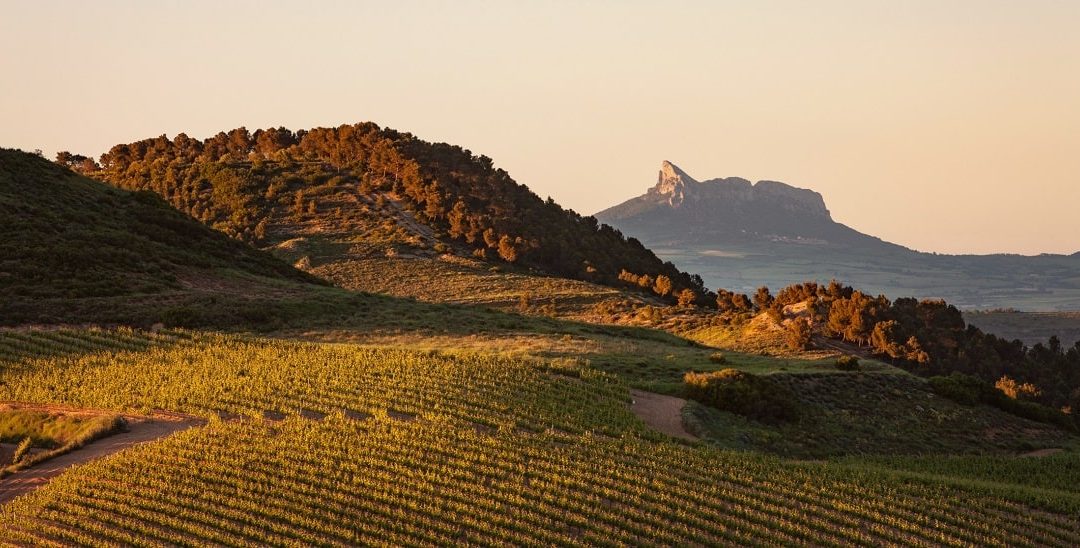 Todo lo que debes saber sobre la D.O.Ca. Rioja