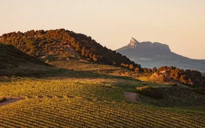 Todo lo que debes saber sobre la D.O.Ca. Rioja