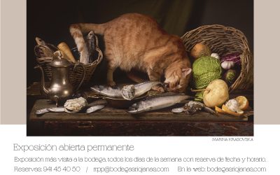 9º CONCURSO INTERNACIONAL DE FOTOGRAFÍA DE BODEGÓN 2025